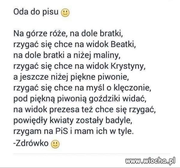Trochę poezji
