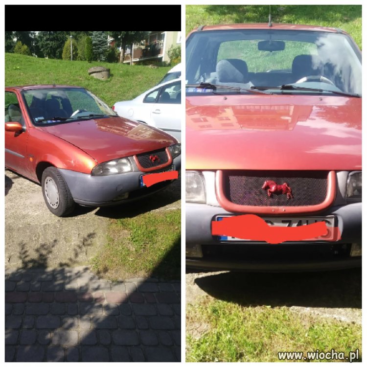 "Mustang"