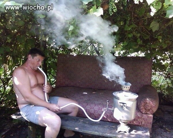 Ruski jaracz zioła...