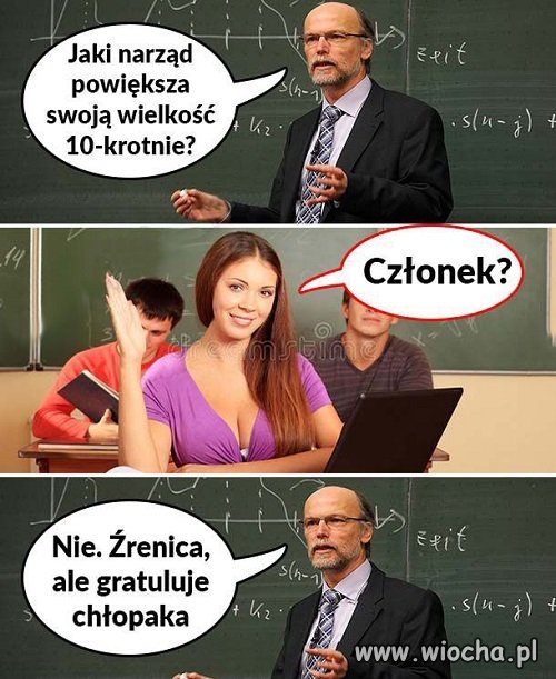 Członek