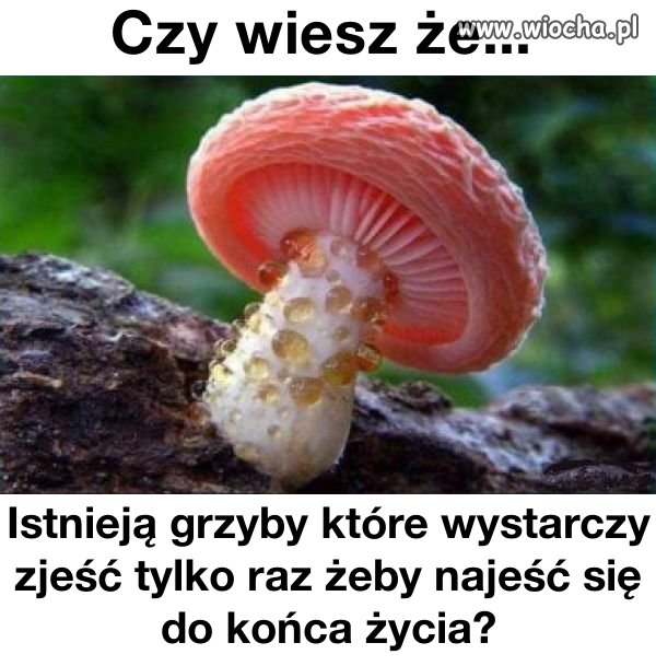 Sezon rozpoczęty