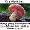 Sezon rozpoczęty