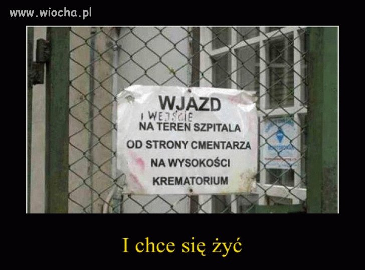 Służba zdrowia