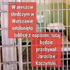 To najpiękniejsza tablica!!