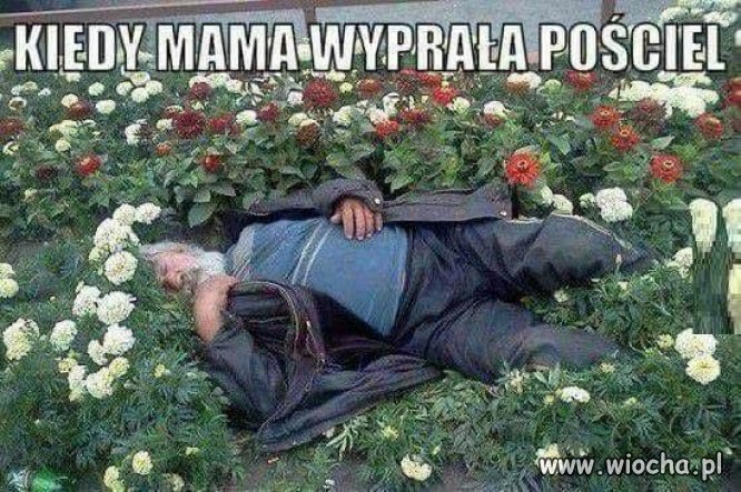 I świeżo i pachnąco