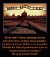 Logicznie rzecz ujmując