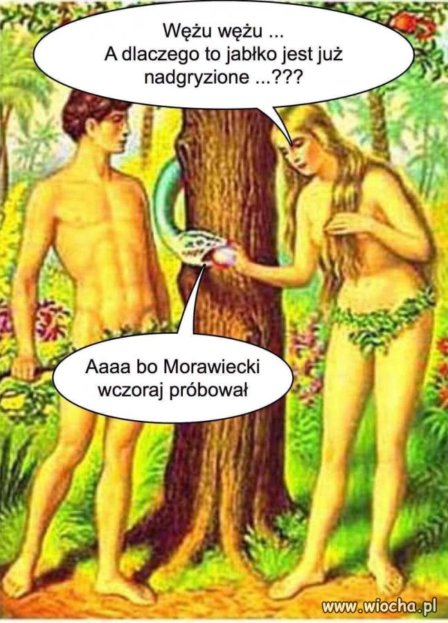 Jeszcze na niedzielę