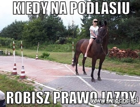 Prawko