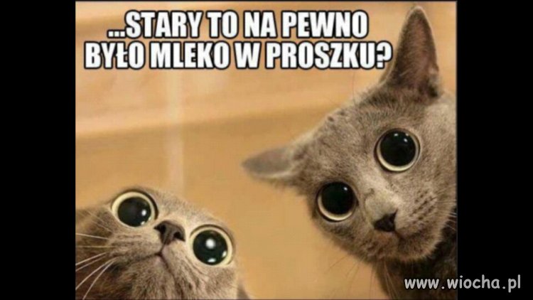 Czy te oczy