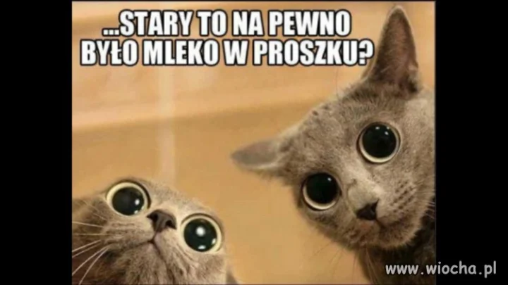 Czy te oczy