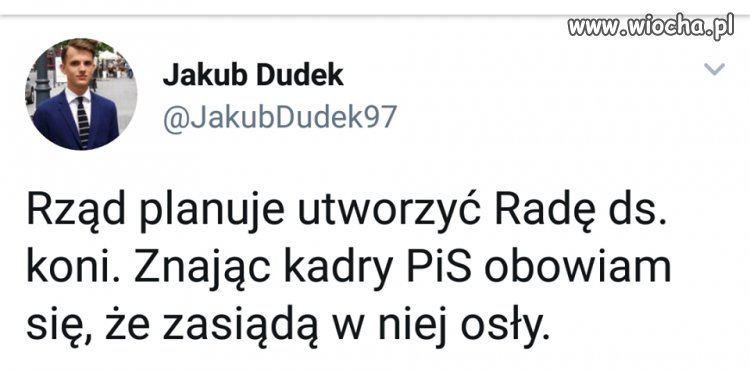 Trafił