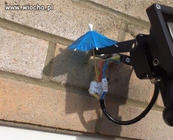 Janusz tu był...