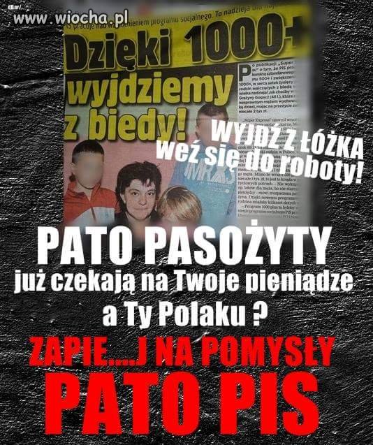 Niestety 