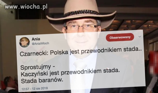 Przewodnik