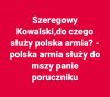 Szeregowy