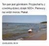 Górnik? Mają takie wypłaty, że się w pale nie mieści...