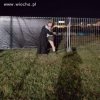 Znienacka