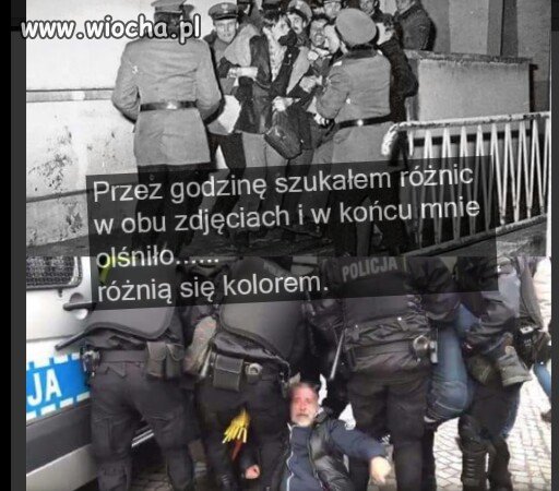 Różnią się kolorem...