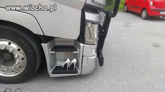 Bo o porządek