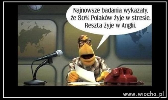 Badania i sondaże ...