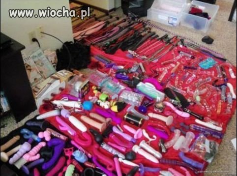 Poszukiwania w schronisku dla kobiet...