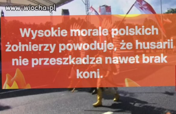 Wysokie morale