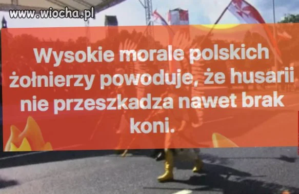 Wysokie morale