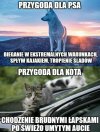 Sama prawda