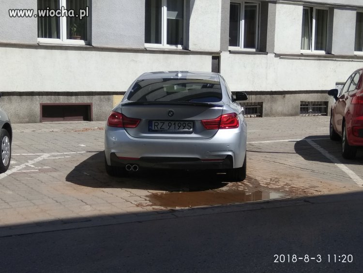 Król... Marka zobowiązuje... Dwa miejsca