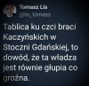 Coś w tym jest