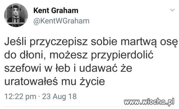 Ciekawe rozwiązanie
