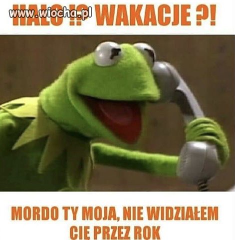 żaba gada