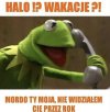 żaba gada