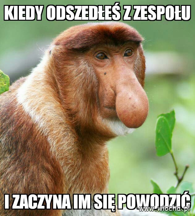 Kapela