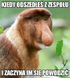 Kapela