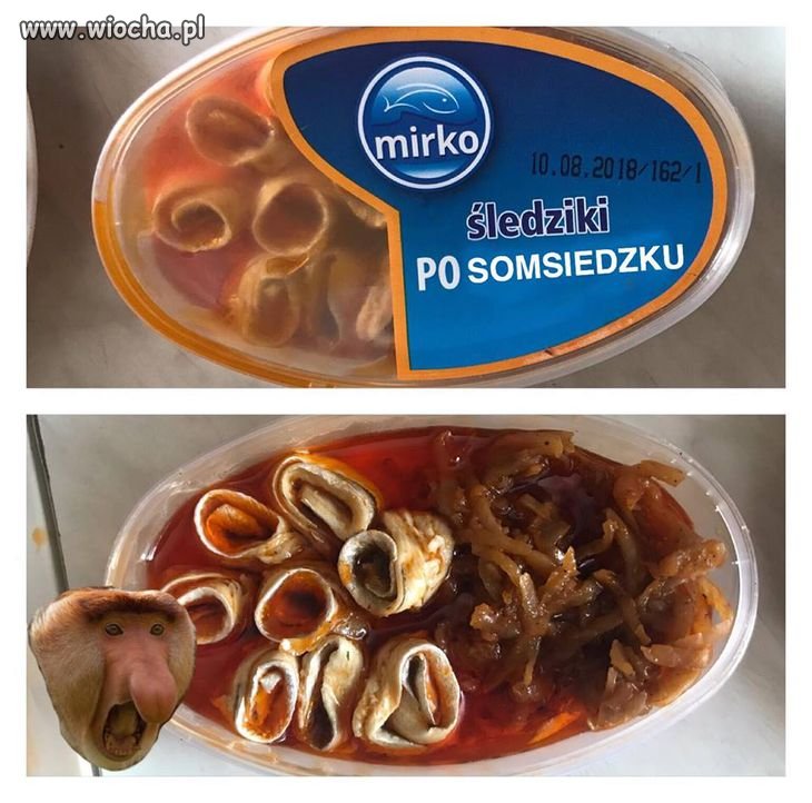 Śledzik po somsiedzku