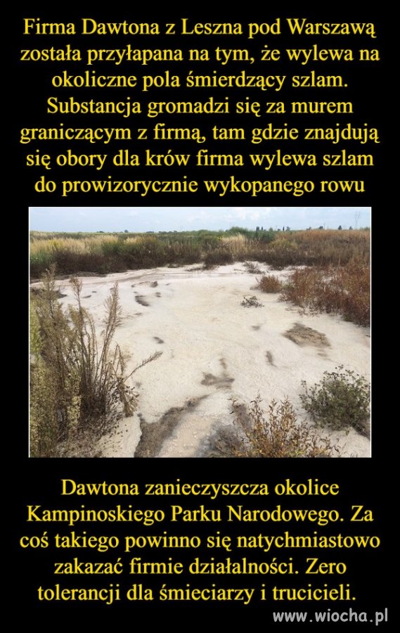 Jestem "za"!
