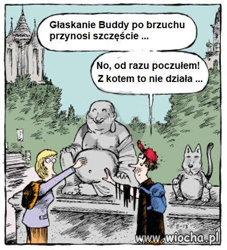 Przynosi szczęście