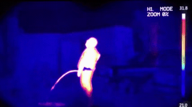 Kamera na podczerwień widzi wszystko.