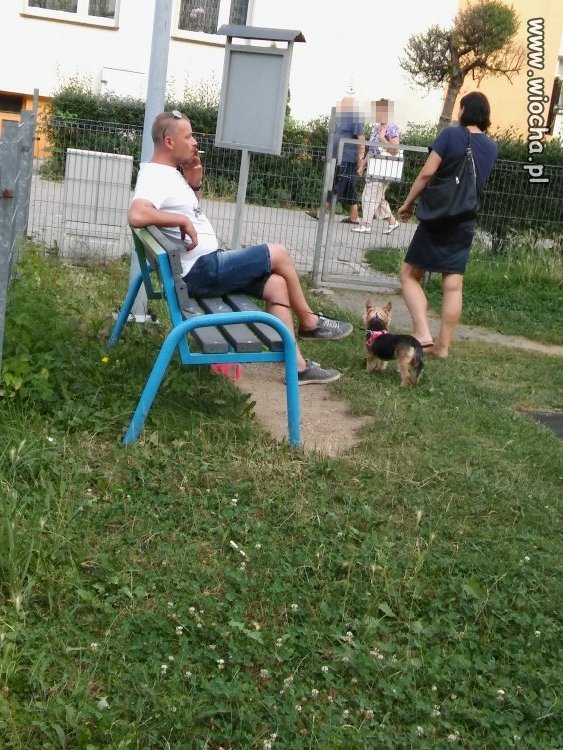Plac zabaw