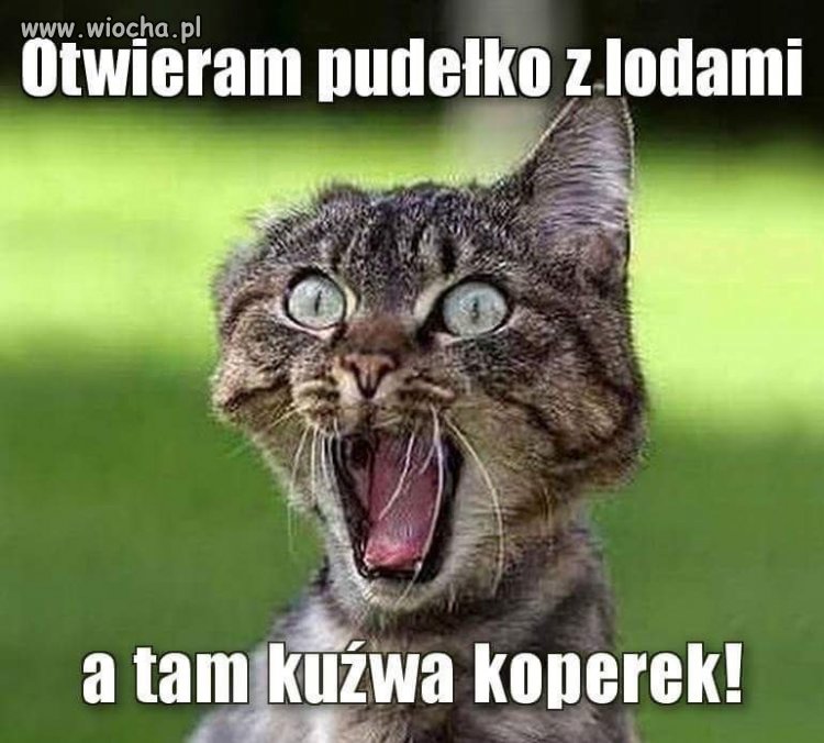Dobre