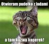 Dobre