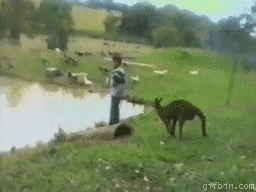 Pierwsza relacja z Australii