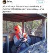 Alkohol