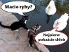 Transakcja wiązana