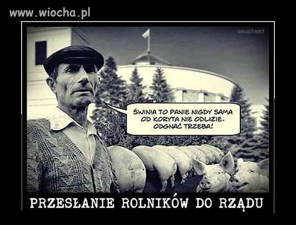 Myślę, że coś w tym jest 