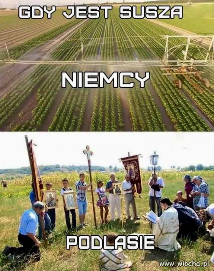 Tymczasem 