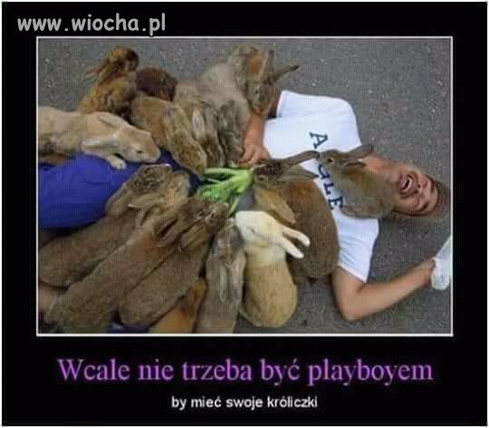 Wystarczy duża marchewka i...