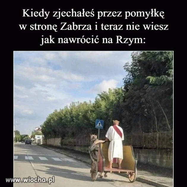 Zabłądził