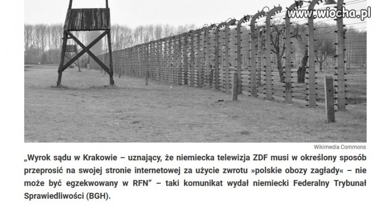 Wtrącać się w nasze sprawy to potrafią